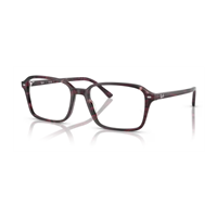 Monture de lunettes Ray-Ban Vista 0RX5431839354 - 0RX5431839354